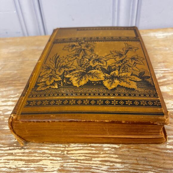 Antique Sir Walter Scott Poetical Works Illustrated Poetry Book Late 1800s HB - Picture 3 of 16